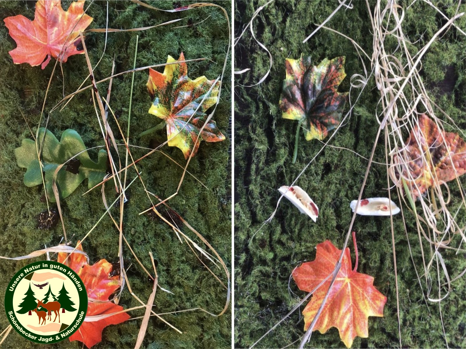 Website Bild Anschußzeichen Modell 4.jpg